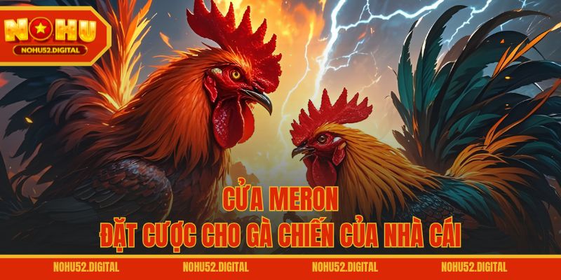 Cửa Meron – Đặt cược cho gà chiến của nhà cái