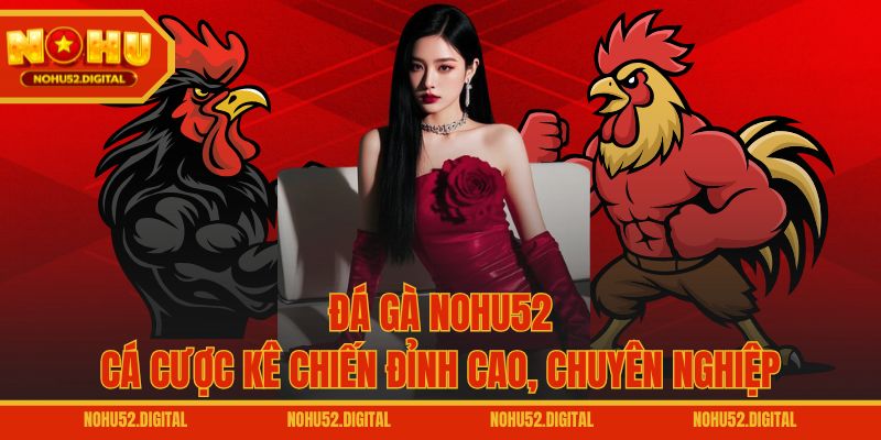 Đá gà NOHU52 - Cá cược kê chiến đỉnh cao, chuyên nghiệp