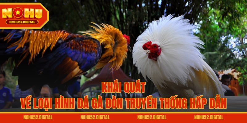 Khái quát về loại hình đá gà đòn truyền thống hấp dẫn