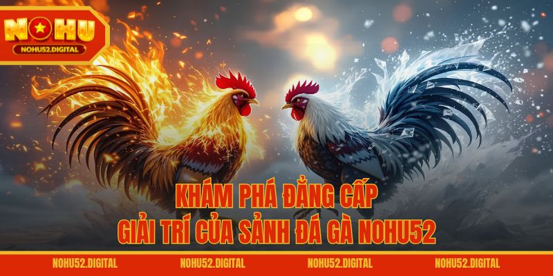 Khám phá đẳng cấp giải trí của sảnh đá gà NOHU52