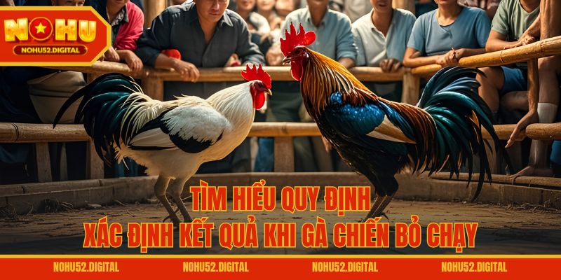 Tìm hiểu quy định xác định kết quả khi gà chiến bỏ chạy