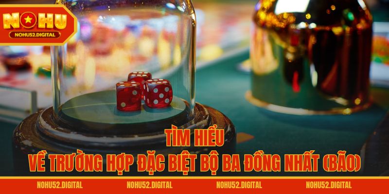 Tìm hiểu về trường hợp đặc biệt bộ ba đồng nhất (Bão)
