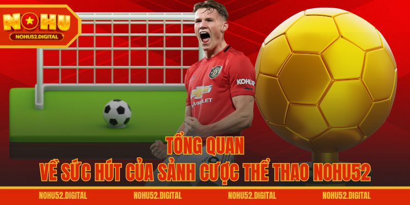 Tổng quan về sức hút của sảnh cược thể thao NOHU52
