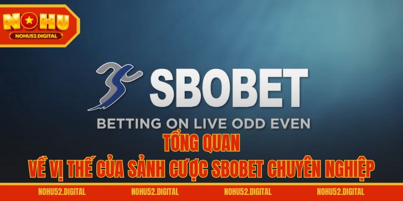 Tổng quan về vị thế của sảnh cược SBOBET chuyên nghiệp