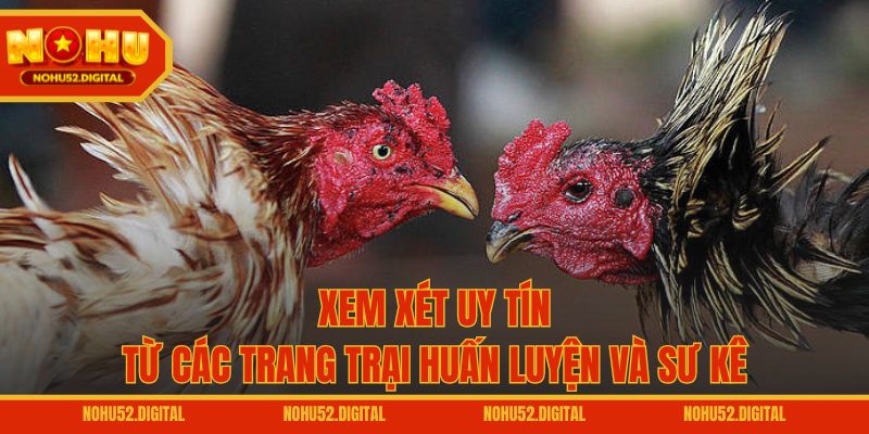 Xem xét uy tín từ các trang trại huấn luyện và sư kê